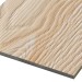 Фиброцементные панели FCSPRO Decor Wood Лиственница купить в Феодосии