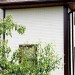 Фасадная панель Grand Line Сланец молочный купить в Феодосии